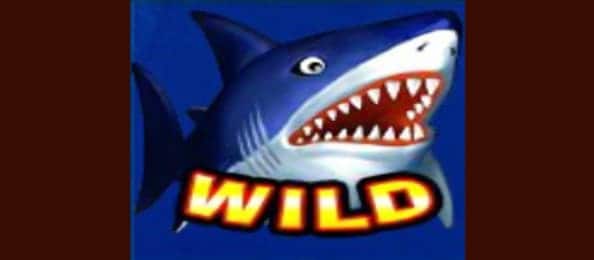 สัญลักษณ์ฉลาม ( Wild )