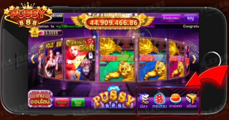 Pussy888 คือใคร เปิดให้บริการอะไรบ้าง