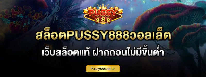 สล็อตPussy888วอลเล็ต