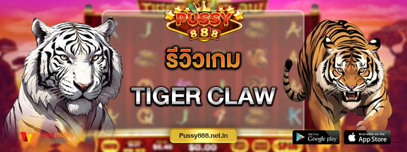รีวิวเกม Tiger Claw