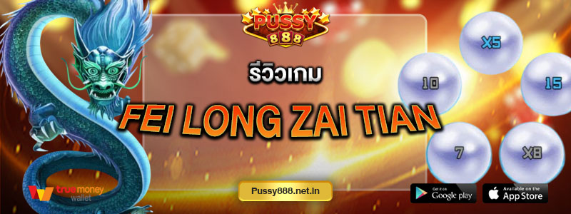 รีวิวเกม Fei long zai tian