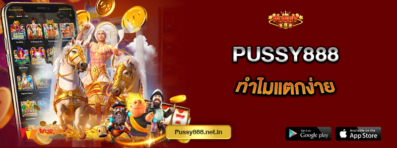 Pussy888 ทำไมแตกง่าย