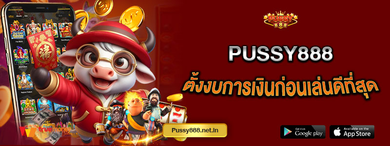 Pussy888 ตั้งงบการเงินก่อนเล่นดีที่สุด
