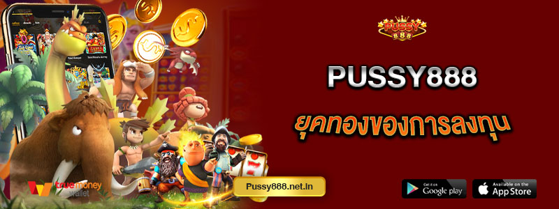 Pussy888 ยุคทองของการลงทุน