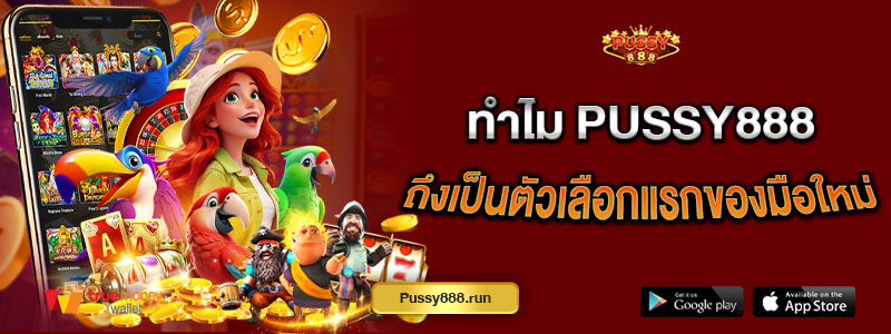 ทำไม Pussy888 ถึงเป็นตัวเลือกแรกของมือใหม่
