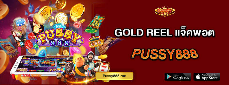 Gold reel แจ็คพอต Pussy888
