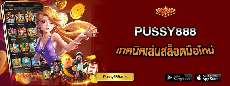 pussy888-เทคนิคเล่นสล็อตมือใหม่-ทำกำไรได้แน่นอน
