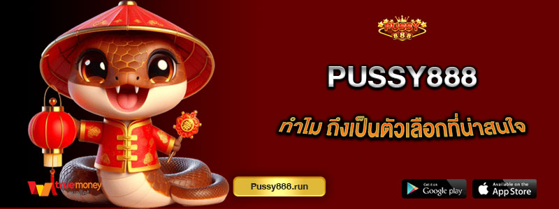 บาคาร่าออนไลน์คืออะไร และทำไม Pussy888 ถึงเป็นตัวเลือกที่น่าสนใจ